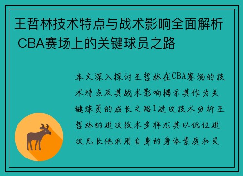 王哲林技术特点与战术影响全面解析 CBA赛场上的关键球员之路