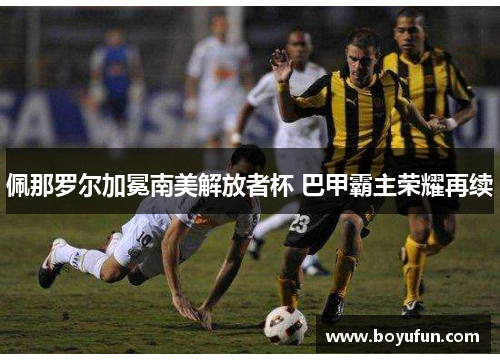 佩那罗尔加冕南美解放者杯 巴甲霸主荣耀再续